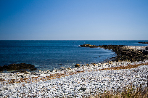 10 minutes drive from Beach Meadows & Summerville Beaches